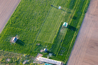 Vue aérienne de Steinweiler dans le département Rhénanie-Palatinat, Allemagne