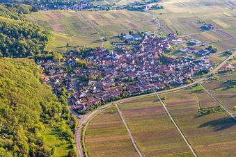 Eschbach dans le département Rhénanie-Palatinat, Allemagne vue du ciel