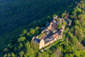 Vue d'oiseau de Madenburg à Eschbach dans le département Rhénanie-Palatinat, Allemagne