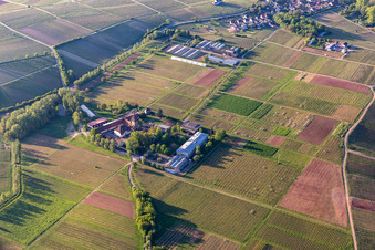 Vue aérienne de JKI, Institut de recherche sur la vigne à Siebeldingen dans le département Rhénanie-Palatinat, Allemagne