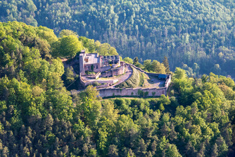 Vue aérienne de Rietburg à Rhodt unter Rietburg dans le département Rhénanie-Palatinat, Allemagne