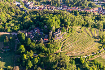 Photographie aérienne de Château de Kropsburg à Sankt Martin dans le département Rhénanie-Palatinat, Allemagne