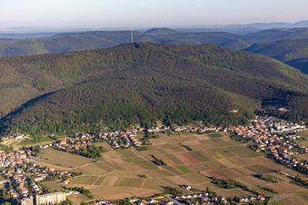Vue aérienne de Au pied du Weinbiet à le quartier Haardt in Neustadt an der Weinstraße dans le département Rhénanie-Palatinat, Allemagne