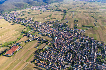 Vue oblique de Quartier Mußbach in Neustadt an der Weinstraße dans le département Rhénanie-Palatinat, Allemagne