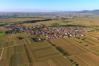 Vue aérienne de Vue du nord à Kirrweiler dans le département Rhénanie-Palatinat, Allemagne