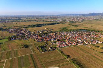 Vue aérienne de Vue du nord à Kirrweiler dans le département Rhénanie-Palatinat, Allemagne