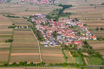 Vue aérienne de Roschbach dans le département Rhénanie-Palatinat, Allemagne