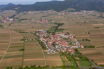 Vue aérienne de Champs agricoles et terres agricoles à Roschbach dans le département Rhénanie-Palatinat, Allemagne