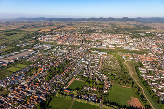 Vue aérienne de Zone urbaine avec périphérie et centre-ville à le quartier Queichheim in Landau in der Pfalz dans le département Rhénanie-Palatinat, Allemagne