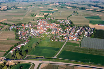 Photographie aérienne de Champs agricoles et terres agricoles à Impflingen dans le département Rhénanie-Palatinat, Allemagne