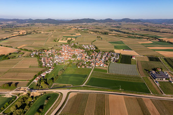 Vue aérienne de Champs et devant la lisière de Haardt de la forêt du Palatinat à Impflingen dans le département Rhénanie-Palatinat, Allemagne