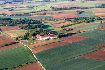 Vue aérienne de Atelier pour talents cachés à Schweighofen dans le département Rhénanie-Palatinat, Allemagne