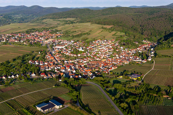 Photographie aérienne de Vignobles et forêt en Rechtenbach à le quartier Rechtenbach in Schweigen-Rechtenbach dans le département Rhénanie-Palatinat, Allemagne