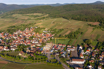 Vue aérienne de Nouveau bâtiment derrière le Weintor en Schweigen à le quartier Schweigen in Schweigen-Rechtenbach dans le département Rhénanie-Palatinat, Allemagne