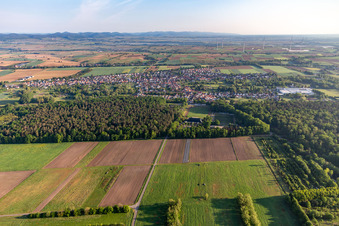 Quartier Schaidt in Wörth am Rhein dans le département Rhénanie-Palatinat, Allemagne du point de vue du drone