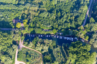 Photographie aérienne de Vieux Rhin et Rheinschänke à Leimersheim dans le département Rhénanie-Palatinat, Allemagne