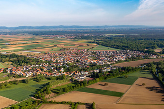 Vue aérienne de Champs agricoles et terres agricoles à Hördt dans le département Rhénanie-Palatinat, Allemagne