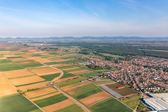 Vue aérienne de Bellheim dans le département Rhénanie-Palatinat, Allemagne