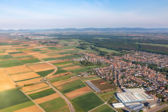 Vue aérienne de Vue des rues et des maisons dans les quartiers résidentiels à Bellheim dans le département Rhénanie-Palatinat, Allemagne