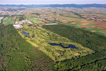 Vue aérienne de Terrain du terrain de golf Landgut Dreihof dans la brume matinale à le quartier Dreihof in Essingen dans le département Rhénanie-Palatinat, Allemagne