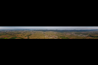 Vue aérienne de Panorama Perspective Edesheim et Edenkoben à Edenkoben dans le département Rhénanie-Palatinat, Allemagne