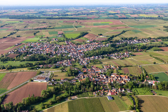 Quartier Appenhofen in Billigheim-Ingenheim dans le département Rhénanie-Palatinat, Allemagne du point de vue du drone