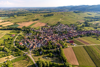 Vue aérienne de Göcklingen dans le département Rhénanie-Palatinat, Allemagne