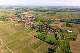 Vue aérienne de Vue du village viticole depuis le nord-ouest à Göcklingen dans le département Rhénanie-Palatinat, Allemagne