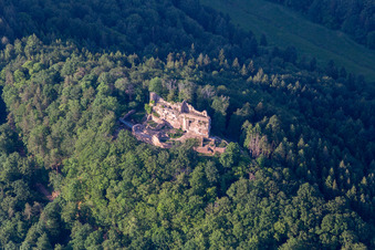 Photographie aérienne de Ruines et vestiges de l'ancien château de Meistersel à Ramberg dans le département Rhénanie-Palatinat, Allemagne