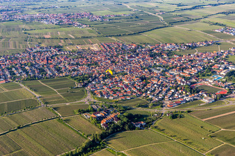 Vue aérienne de Quartier Alsterweiler in Maikammer dans le département Rhénanie-Palatinat, Allemagne