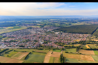Vue aérienne de Vue de la ville depuis le nord à Rülzheim dans le département Rhénanie-Palatinat, Allemagne