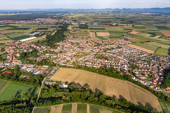 Vue aérienne de Champs agricoles et terres agricoles à Hördt dans le département Rhénanie-Palatinat, Allemagne