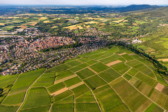 Wissembourg dans le département Bas Rhin, France du point de vue du drone