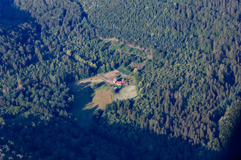 Wingen dans le département Bas Rhin, France d'en haut