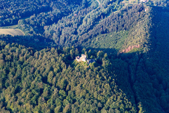 Vue aérienne de Château de Hohenburg à Wingen dans le département Bas Rhin, France