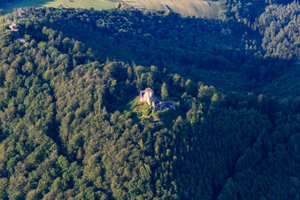Vue aérienne de Château de Hohenburg à Wingen dans le département Bas Rhin, France