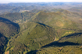 Vue aérienne de Forêt du Palatinat à Schönau dans le département Rhénanie-Palatinat, Allemagne