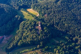 Vue aérienne de Château de Bewartstein à Erlenbach bei Dahn dans le département Rhénanie-Palatinat, Allemagne