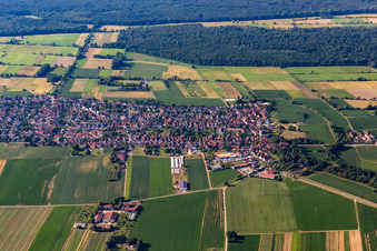 Vue oblique de Minfeld dans le département Rhénanie-Palatinat, Allemagne
