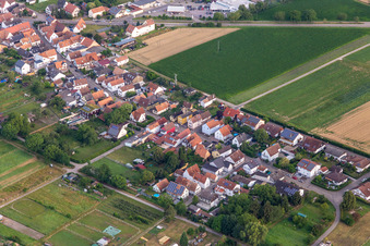 Gänsried à Freckenfeld dans le département Rhénanie-Palatinat, Allemagne d'en haut