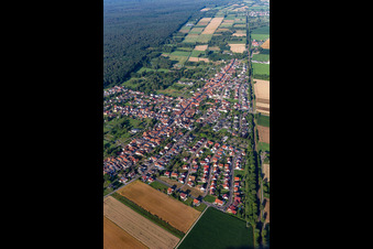 Vue aérienne de Quartier Schaidt in Wörth am Rhein dans le département Rhénanie-Palatinat, Allemagne