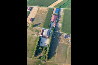 Vue aérienne de Ranch à Seebach dans le département Bas Rhin, France
