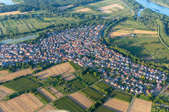 Vue aérienne de Neuburg am Rhein dans le département Rhénanie-Palatinat, Allemagne