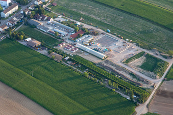 Vue aérienne de Légumes biologiques Kugelmann à Kandel dans le département Rhénanie-Palatinat, Allemagne