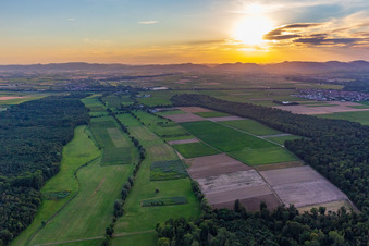 Vue aérienne de Fossé d'inondation à Steinweiler dans le département Rhénanie-Palatinat, Allemagne