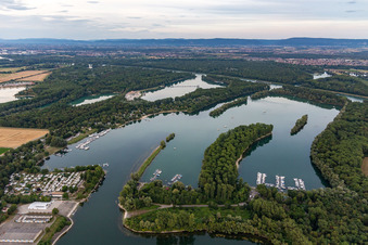 Vue aérienne de Yacht Club Otterstadt à Otterstadt dans le département Rhénanie-Palatinat, Allemagne