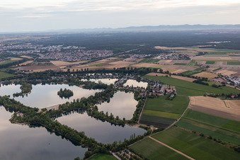 Vue aérienne de Lac d'argent, lac de Biersieder, Binsfeld à Speyer dans le département Rhénanie-Palatinat, Allemagne