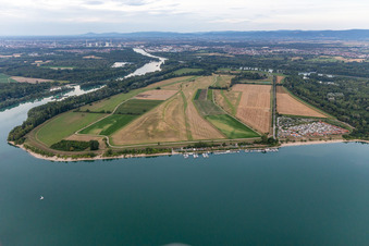 Vue aérienne de Kollersee, île de Koller à Brühl dans le département Bade-Wurtemberg, Allemagne