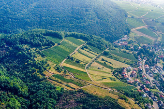 Vue aérienne de Haardtrand-Auf dem Schoeb à Albersweiler dans le département Rhénanie-Palatinat, Allemagne