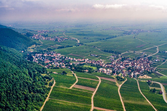 Vue aérienne de Ville viticole au bord du Haardt au sud à Frankweiler dans le département Rhénanie-Palatinat, Allemagne